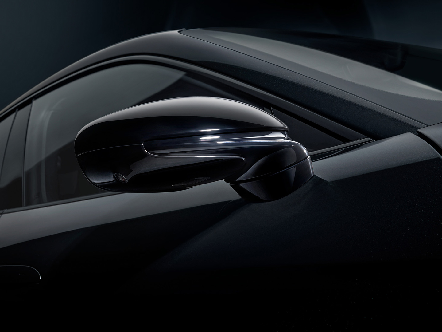 Detalles de contraste en color negro.